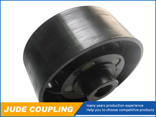 ZLL Pin & Bush Coupling with brake wheel