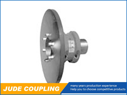 JS6300 Series: Grid Coupling with brake disc